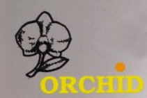  Pool Billard Queues der Marke Orchid 