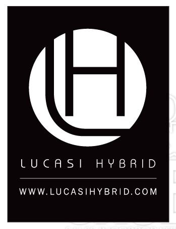  Lucasi Hybrid  Queues kombinieren...